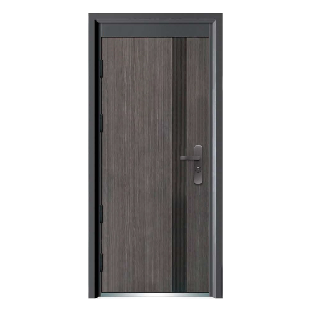Socool Single Entry Steel Safety Main Indian Style Front Steel Security Door 3