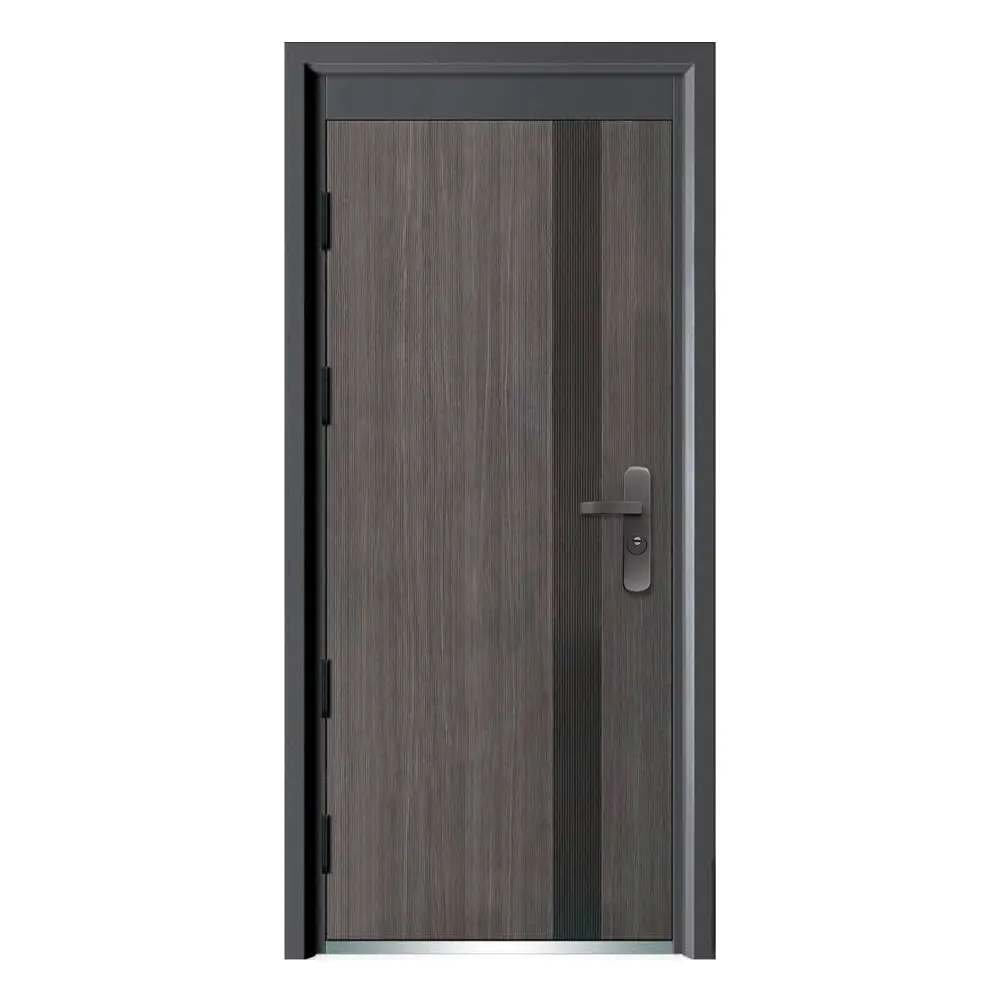 Custom Steel Residential Doors - - SOCOOL-1 3