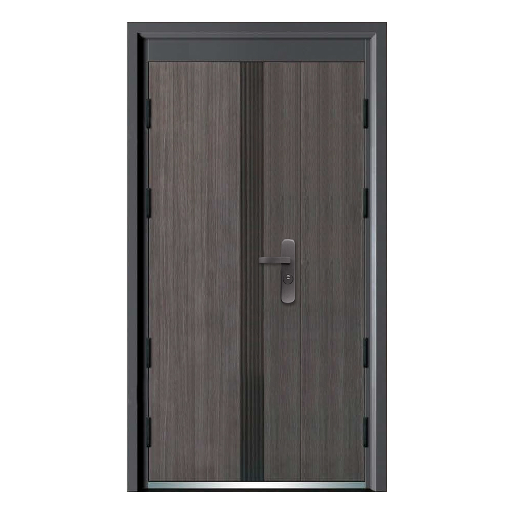 Socool Single Entry Steel Safety Main Indian Style Front Steel Security Door 4
