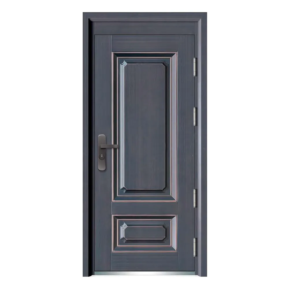 Custom Steel Entry Doors by SOCOOL 6