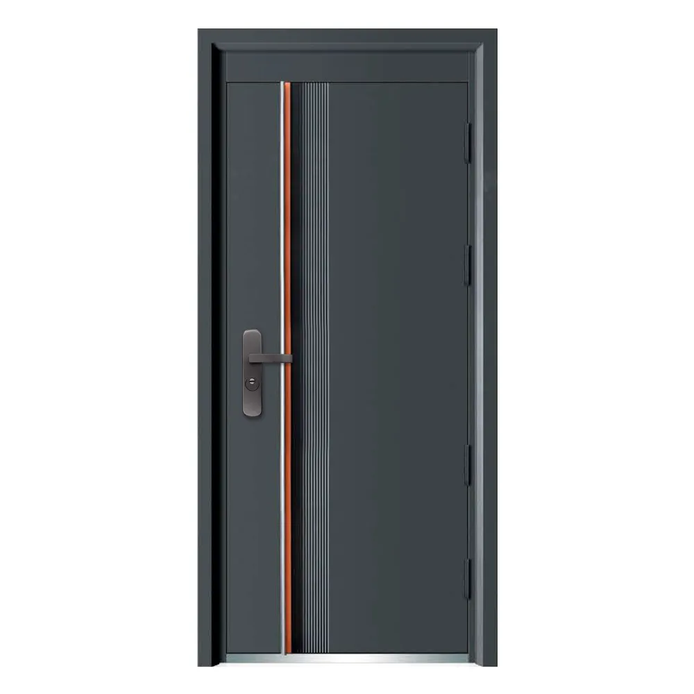 Custom Steel Entry Doors by SOCOOL 3