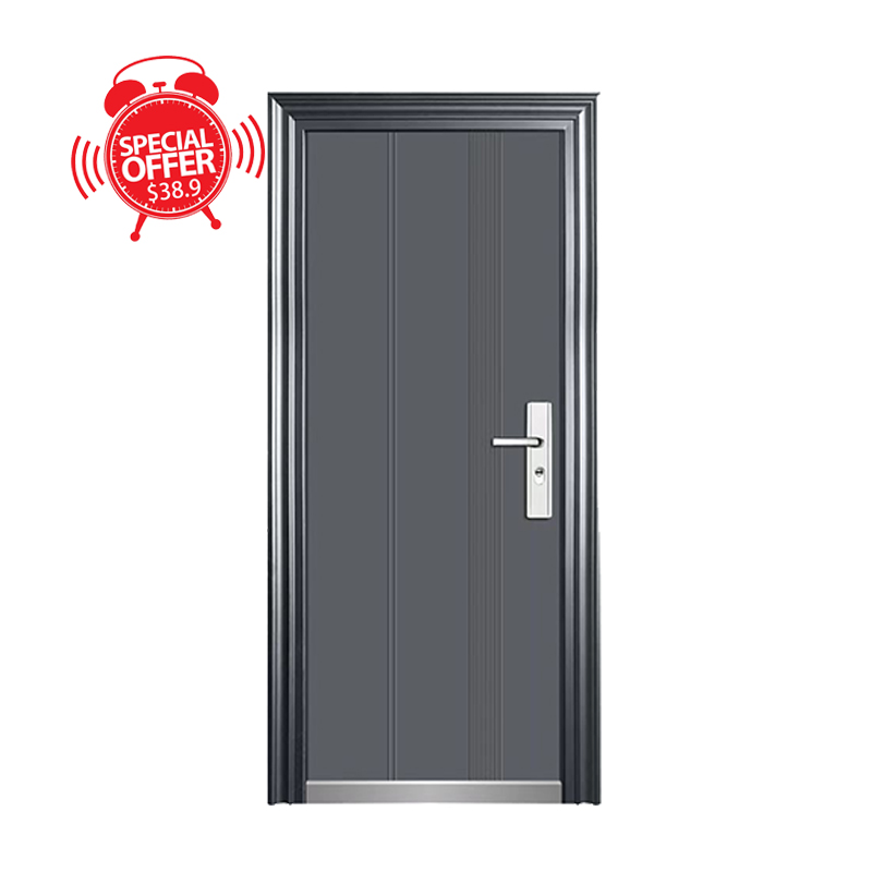 Safe OEM Modern Swing American Style Cast Iron Grill Design Entry External Entrance Steel Security Door for House 2