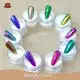 Azmee Brand Chameleon Nail Powder 10colors 2g N.W. 1