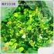 Nhà sản xuất đồ làm móng SGS của Azmee 1
