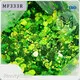 OEM-Glitzerpulverhersteller Beautychain OEM ODM Private Label 1