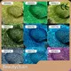 Nhà sản xuất bột long lanh thương hiệu Beautychain 1
