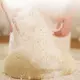 Doughpro Dough Press Eries 4
