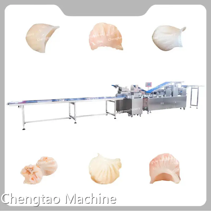 Chengtao Machine Dumpling Maker Machine for Pasta - 1