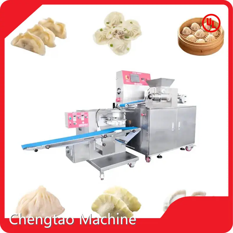 Chengtao Machine | Newest Pelmeni Maker Machine Series 1