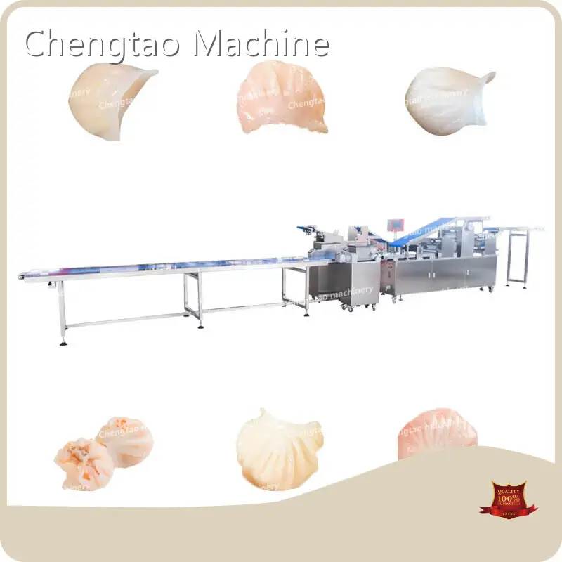 Custom Dumpling Machine Chengtao Machine 1