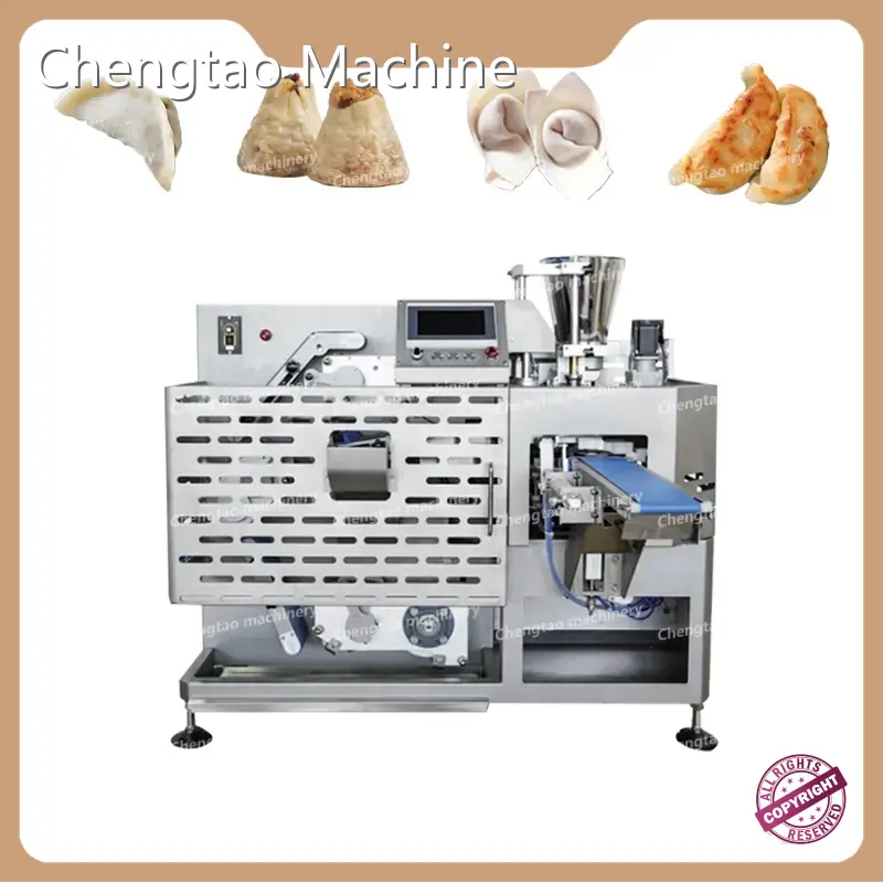 Bulk Dumpling Machine for Food 1