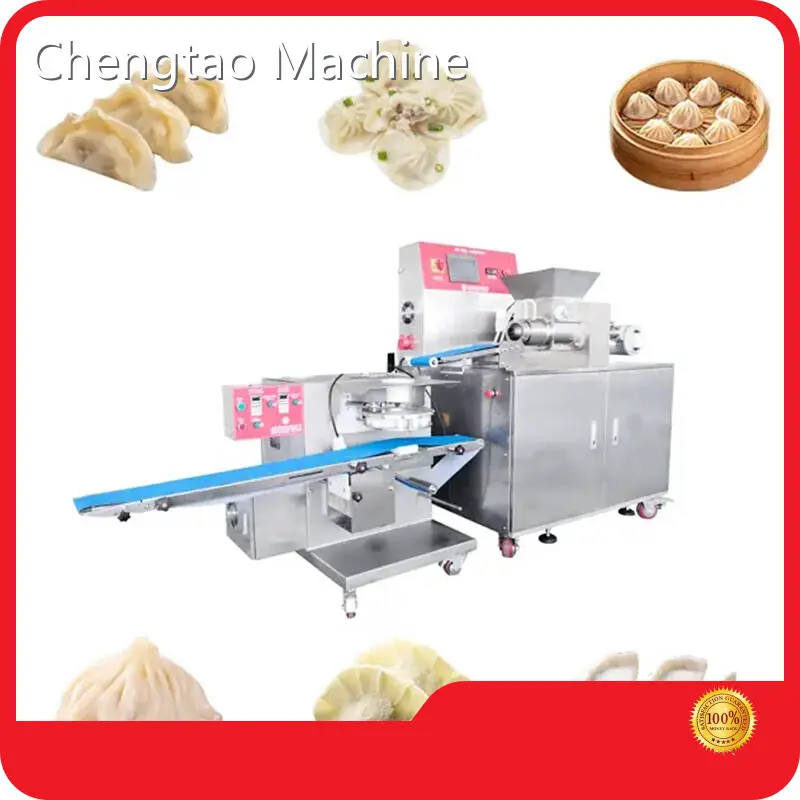 Customized Pelmeni Maker Machine for Pasta 1