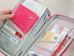Weiju Best Travel Backpack for Women for Sale 4
