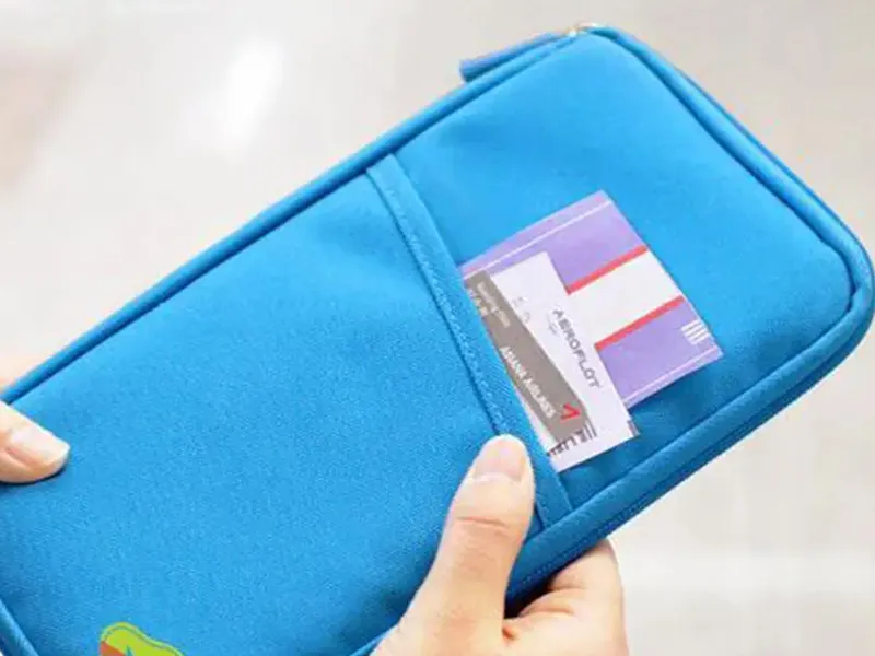 Weiju Best Travel Backpack for Women for Sale 5