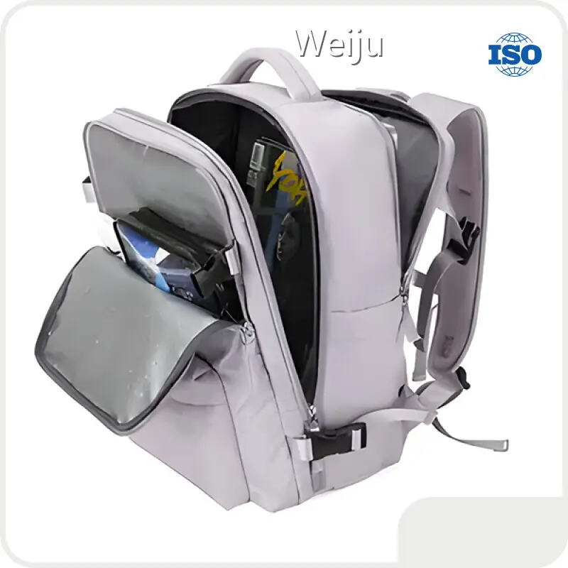 Custom Travel Rucksack Mens with Custom Services Manufacturer | Weiju 1
