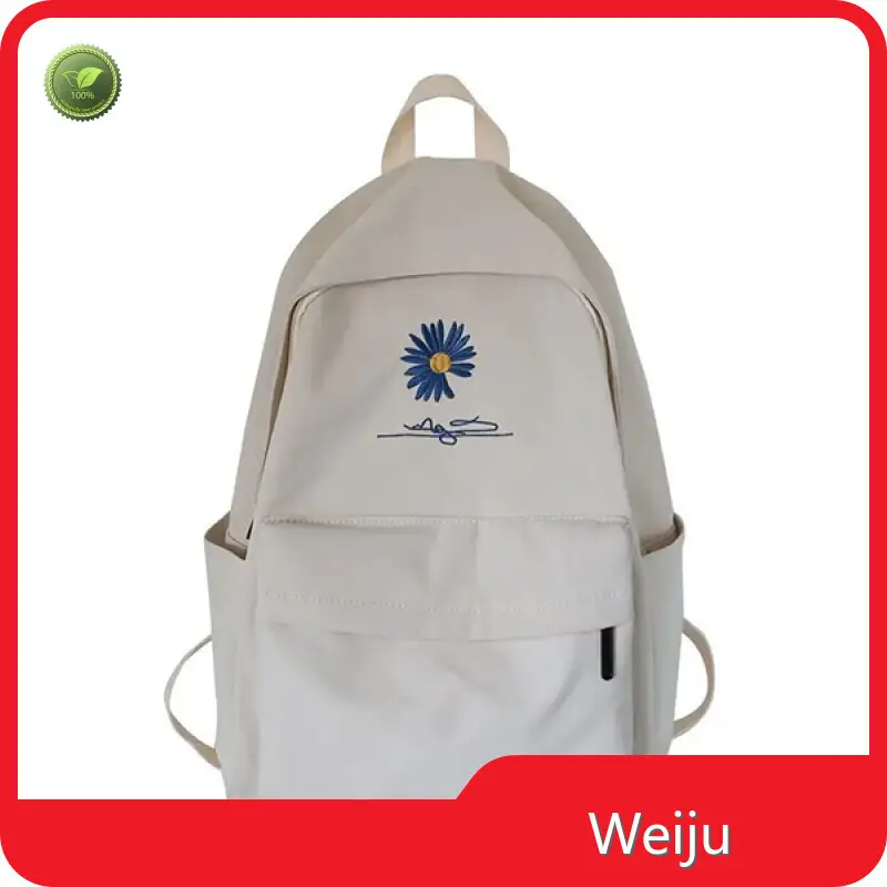 Clear Bookbags Daily School Life Children School Bag Weiju Brand Clear Bookbags 1