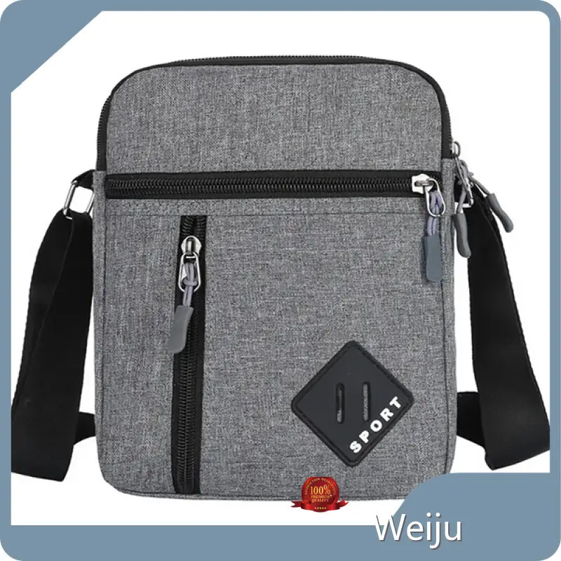 Weiju | Creative Silver Handbag Series 1