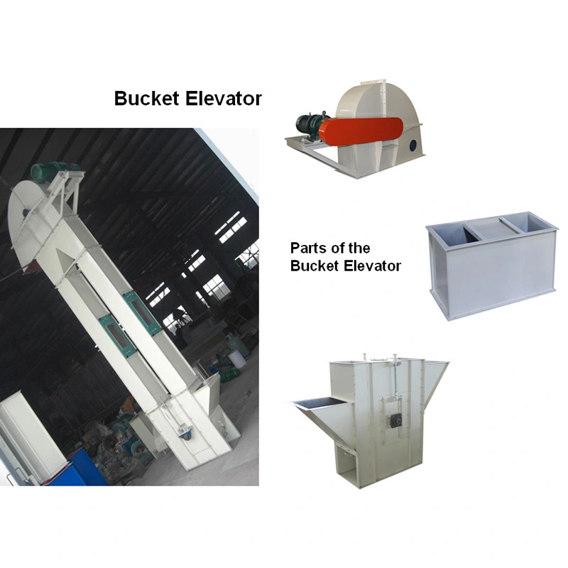 Bucket Elevator Professional High Quality Automatic Transport Deliver Feeding & Discharging Belt Conveyor 1