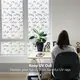 Architectural Film for Windows Harvakids Company 3