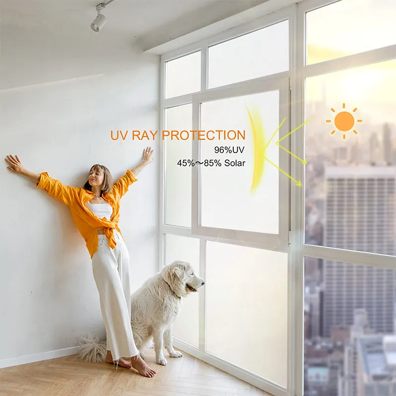 Harvakids | Custom Window Film for Business for Business 5