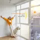 Harvakids | Custom Window Film for Business for Business 5