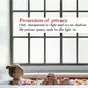 Harvakids | Custom Window Film for Business for Business 4