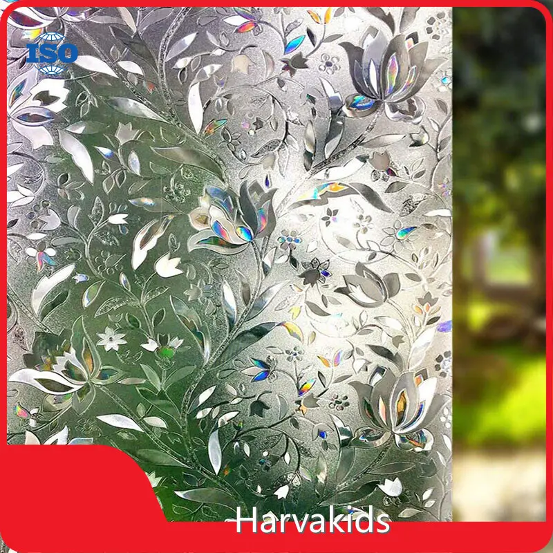 Privacy Adhesive Window Film for Business 1