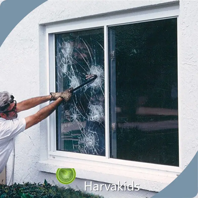 Security Window Film Company 1
