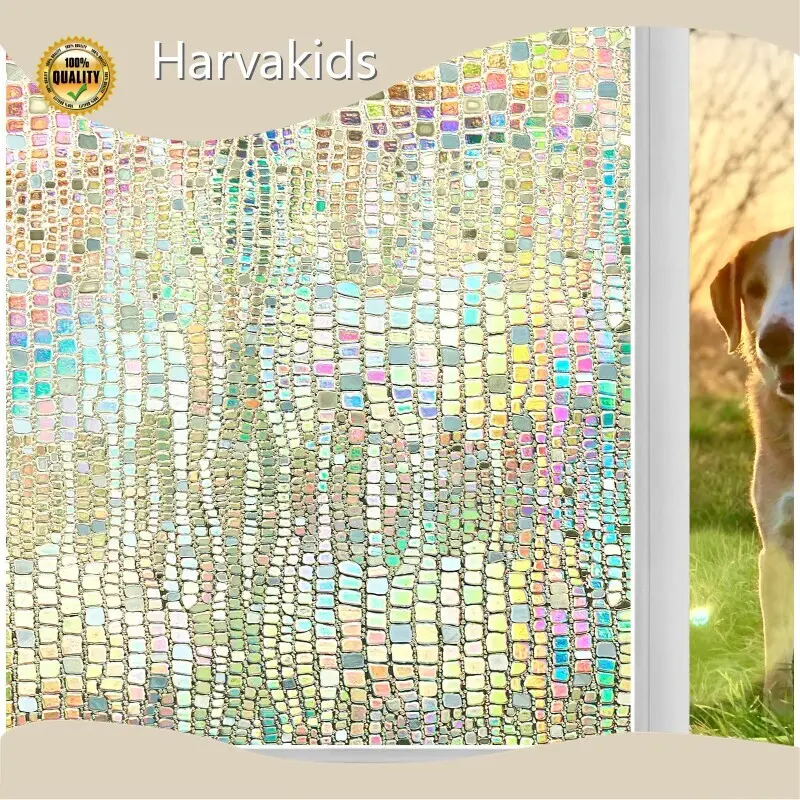 Static Cling Privacy Window Film Bulk Buy Harvakids 1