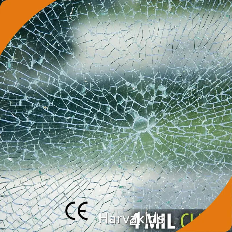 Static Cling Decorative Window Film Harvakids 1