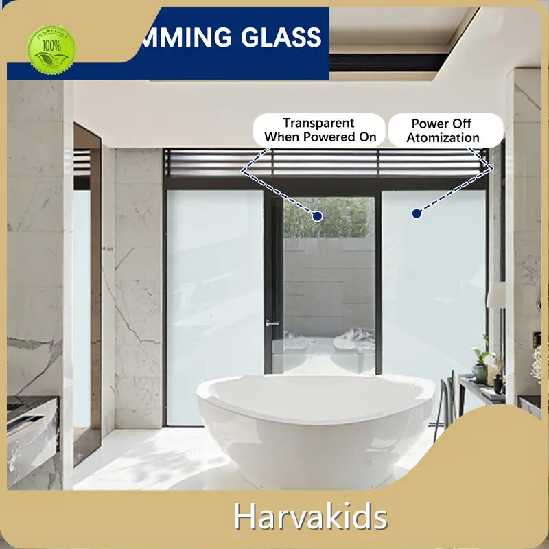 Harvakids Dimmable Window Tint - 1
