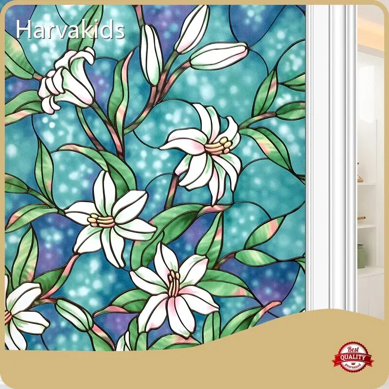 Frosted Glass Window Films Bulk Buy Harvakids 1