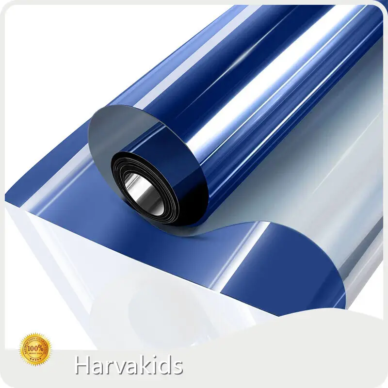 Bathroom Window Privacy Film - - Harvakids 1