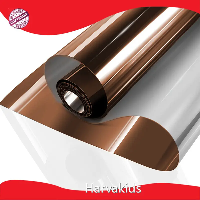 Harvakids Home Window Privacy Film 1