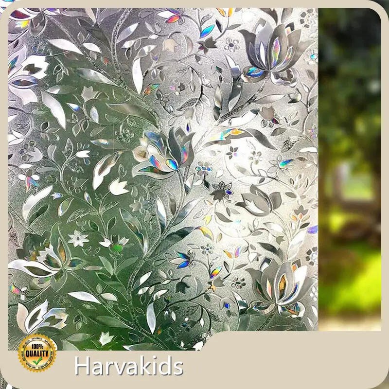 Commercial Window Tint Film for Sale Bulk Buy Harvakids 1