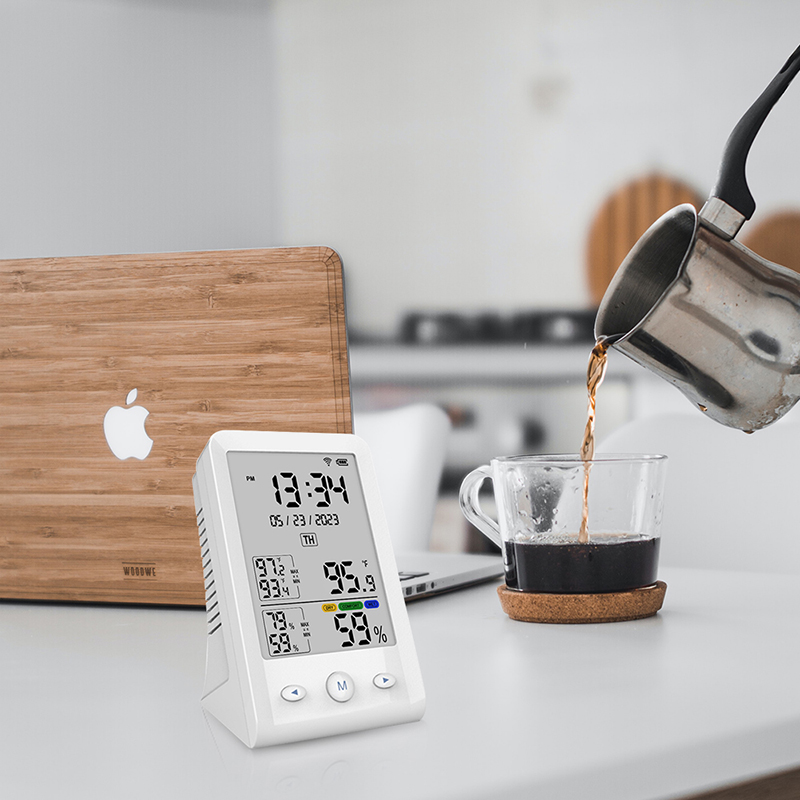 Mini thermomètre numérique 1