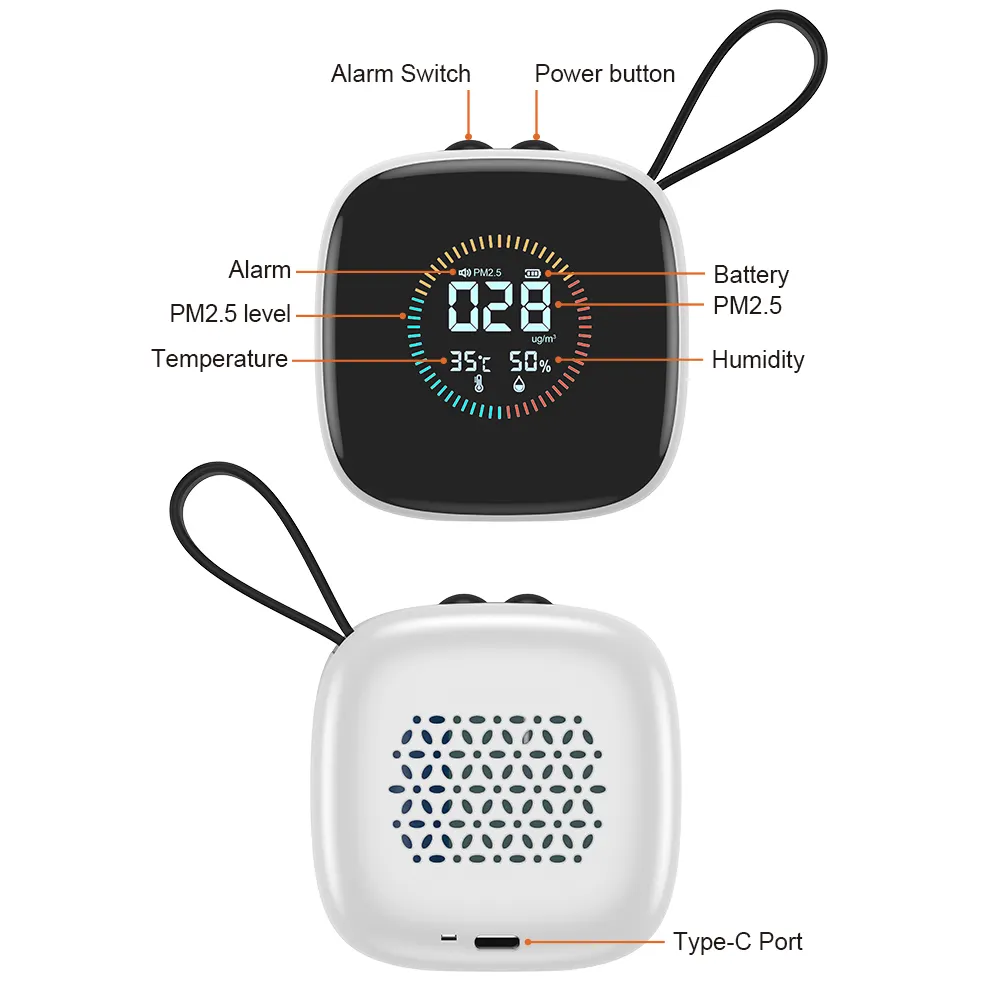 Hydrogen Gas Detector DM1210A - for Home - Dienmern 2