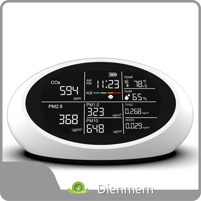 Gas Monitor DM605E ABSwith Good Price 1