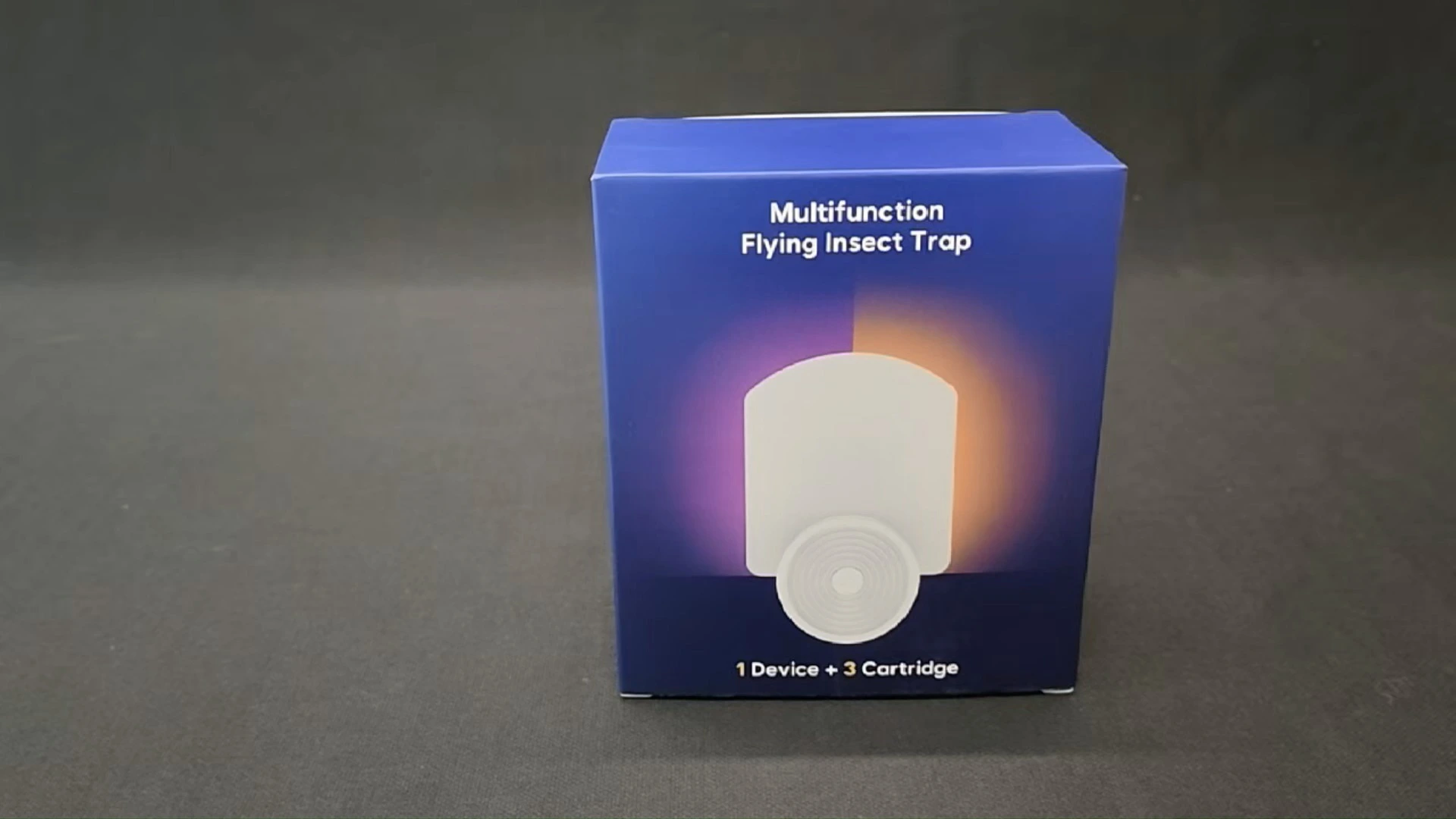 ハエトリグサ 1