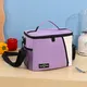 Lunch Totes for Women 3