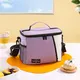 Lunch Totes for Women 5