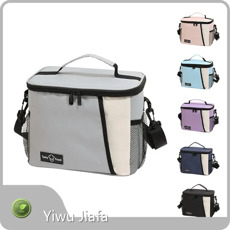 Lunch Totes for Women 1