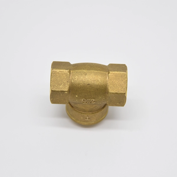 Brass Horizontal Check Valve 1