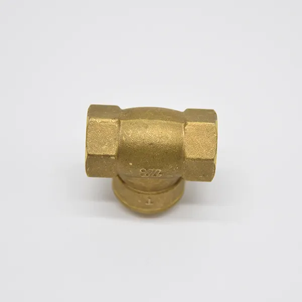 The Importance Of Check Valves In Plumbing Systems 1