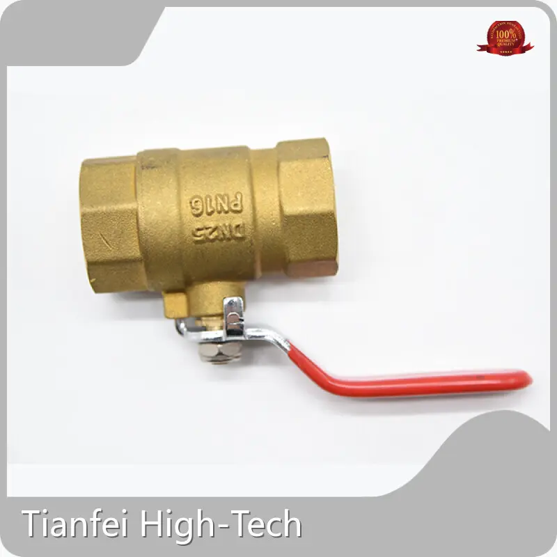 Hot Motorized Valve Manufacturer Tianfei High-Tech Brand 1