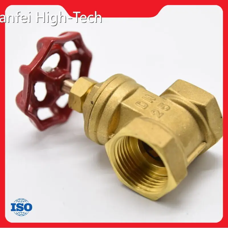 Custom Valve Manufacturer Tianfei High-Tech Manufacture 1