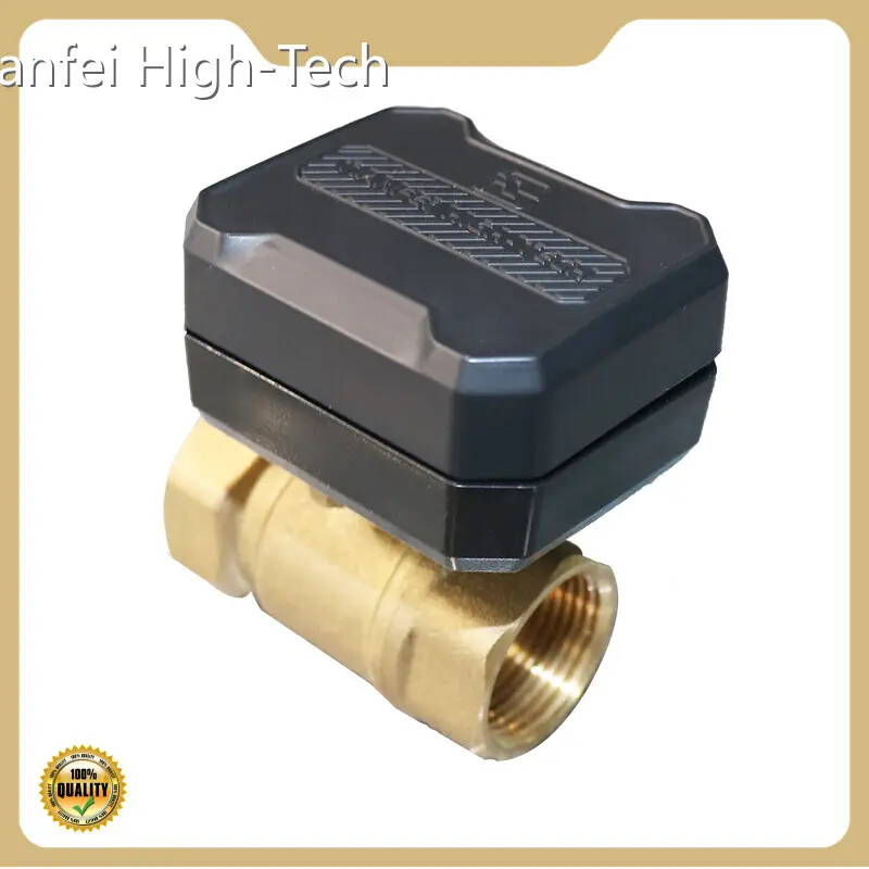 Electric Valve - - Tianfei High-Tech 1