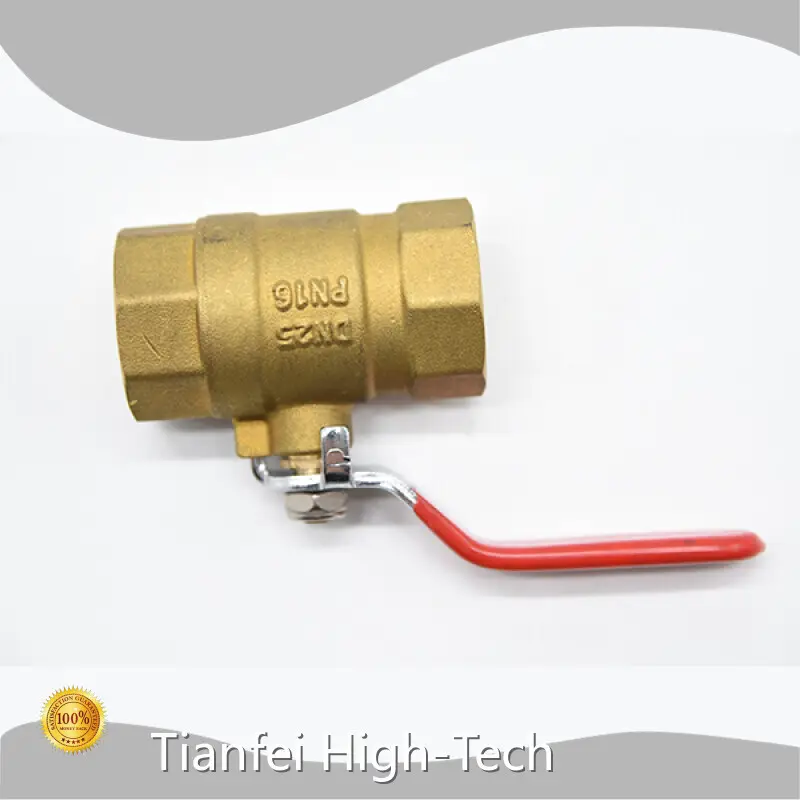Gate Valve Manufacturer Tianfei High-Tech Company 1