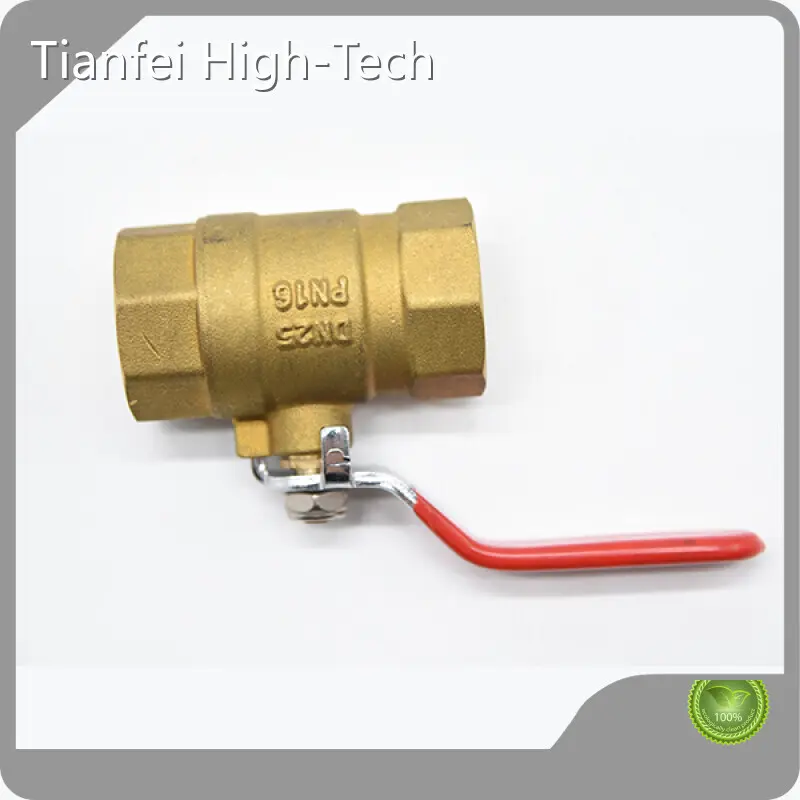 Gate Valve Tianfei High-Tech 1