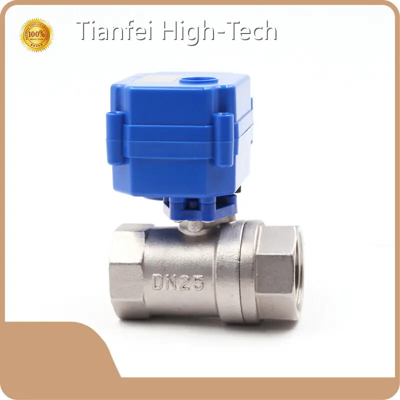 Tianfei High-Tech Brand Motorized Valve Manufacturer Supplier 1